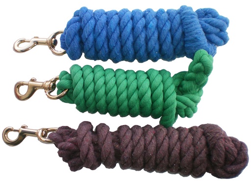 laisse de cotton