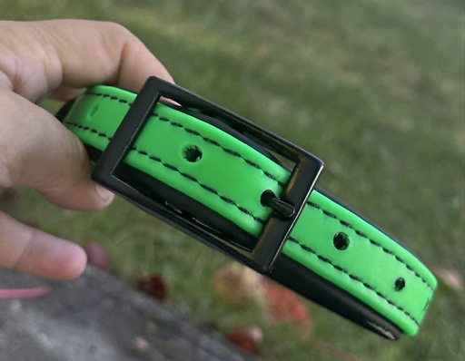 collier pour chien
